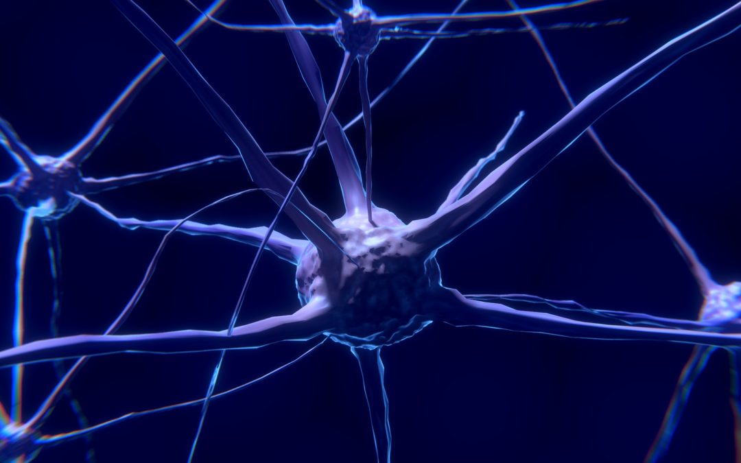 Stanice našeg mozga se povezuju